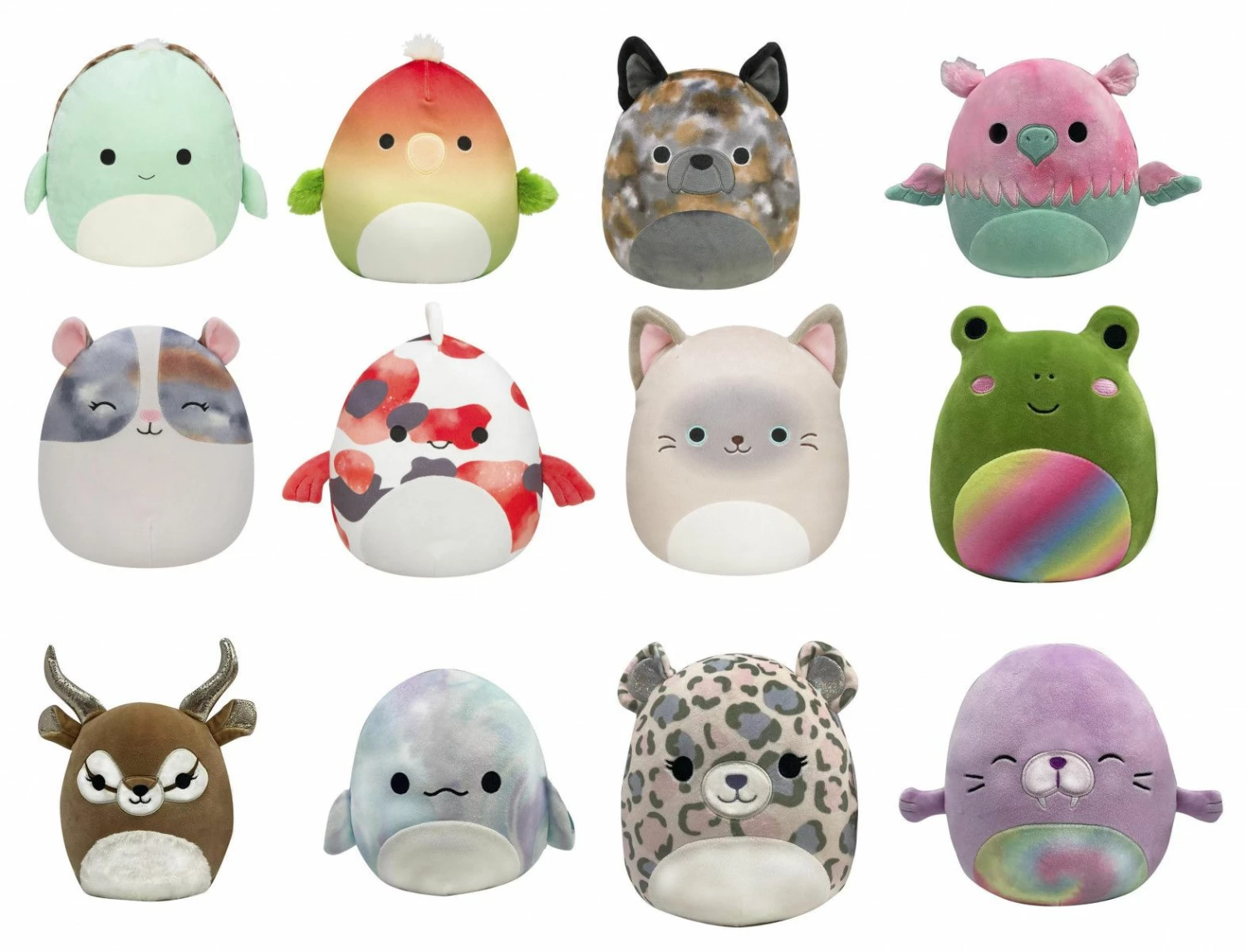 Squishmallows Plysjbamse 19cm - Papegøyen Elliene Squishmallows Plysjbamse 19cm - Papegøyen Elliene -Squishmallows butikk 2275cp12 2275cp12 7 259421 h62090134