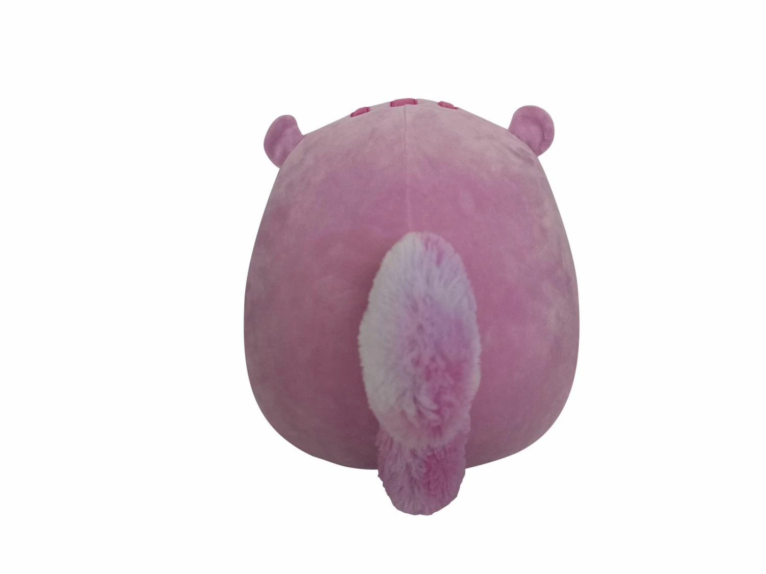 Squishmallows Plysjbamse 19cm - Ekkornet Allina Squishmallows Plysjbamse 19cm - Ekkornet Allina -Squishmallows butikk 2275cp13 2275cp13 3 259435 h62090134
