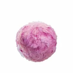 Scruff A Luvs Redd Et Kjæledyr - Evergreen -Squishmallows butikk nti 880560 g 11 242726 h00854669